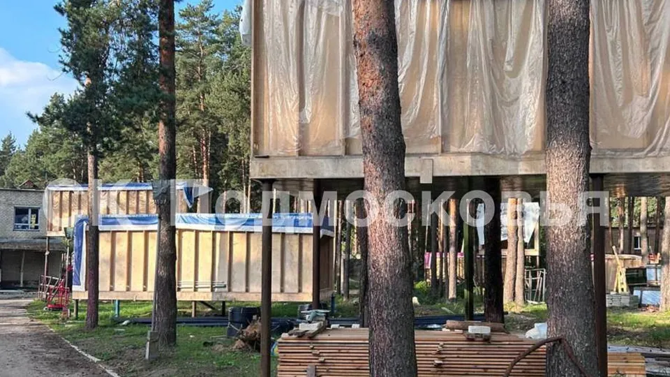 Фото: управление СК РФ по Московской области