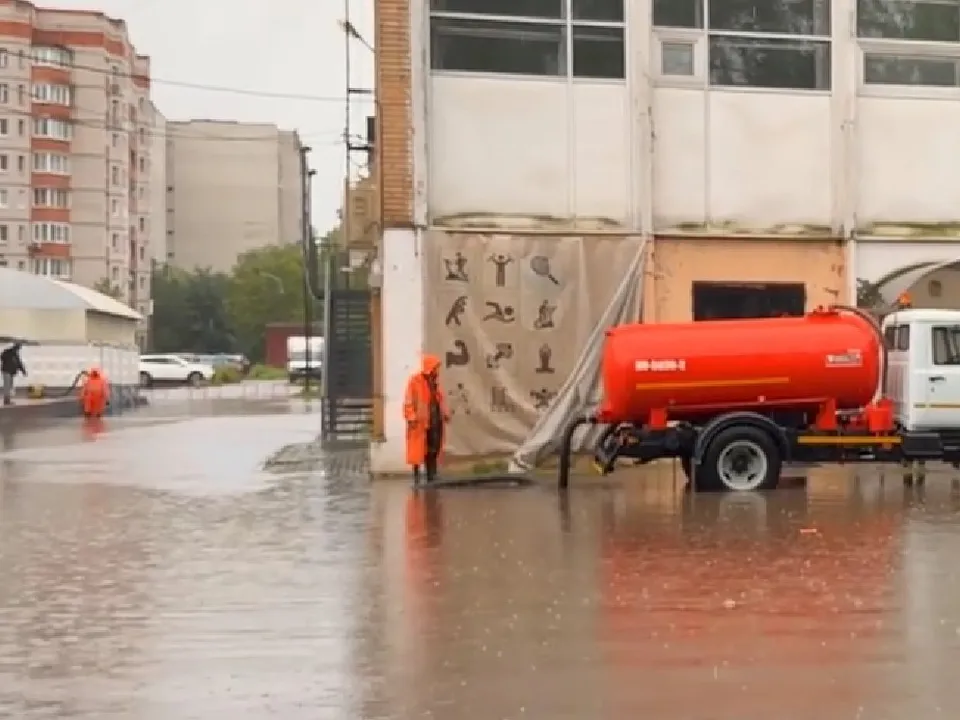 Фото: кадр из видео Ольги Стаферовой