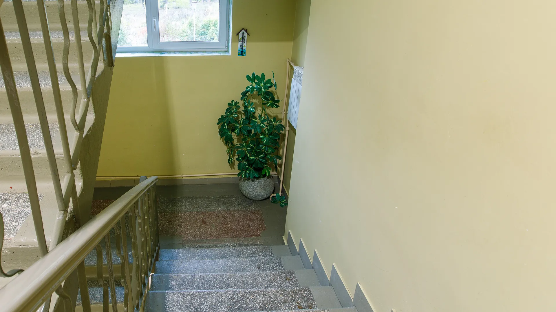 Фото: медиасток.рф