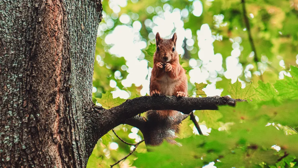 Фото: МедиаБанк Подмосковья/Иван Чижов