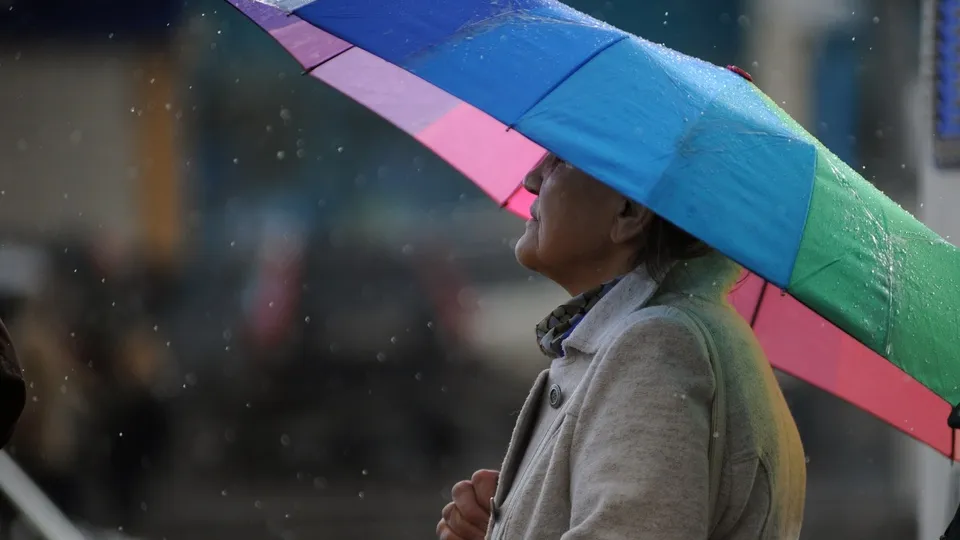 Фото: медиасток.рф