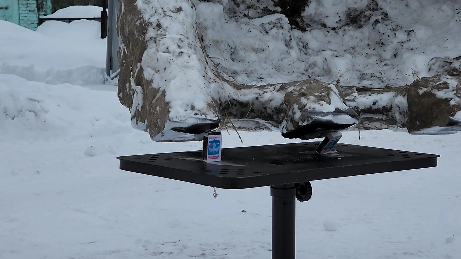 МедиаБанк Подмосковья/Ирина Моисеева