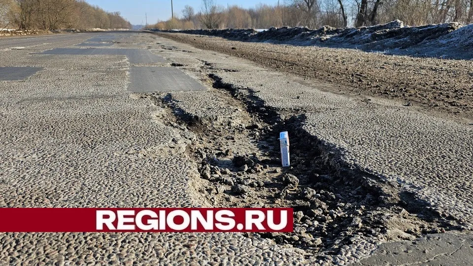 Фото: Александр Дрожжин