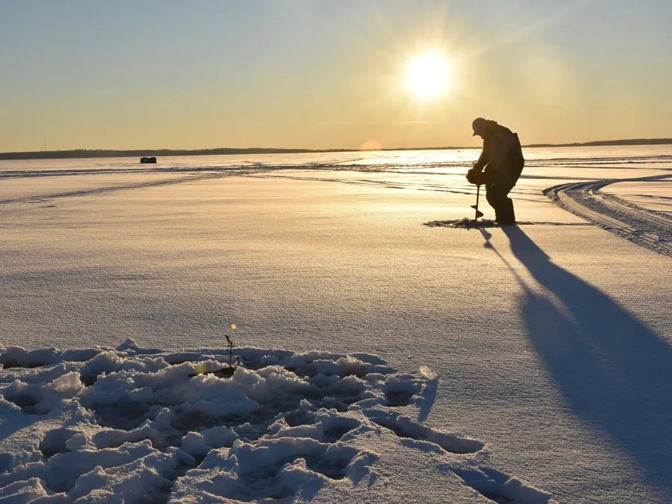 Фото: istockphoto.com/gnatoutdoors&nbsp;