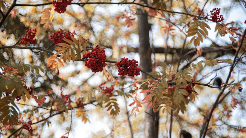 Фото: REGIONS/Наталия Надточая