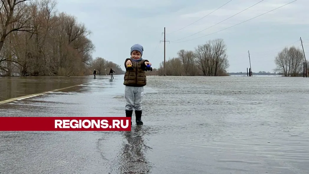 фото: Елена Фурман