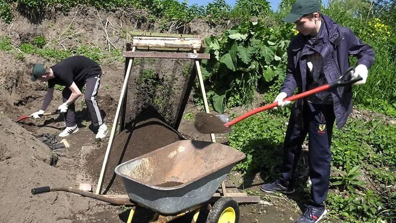 В Воскресенске для подростков организовали летнюю подработку