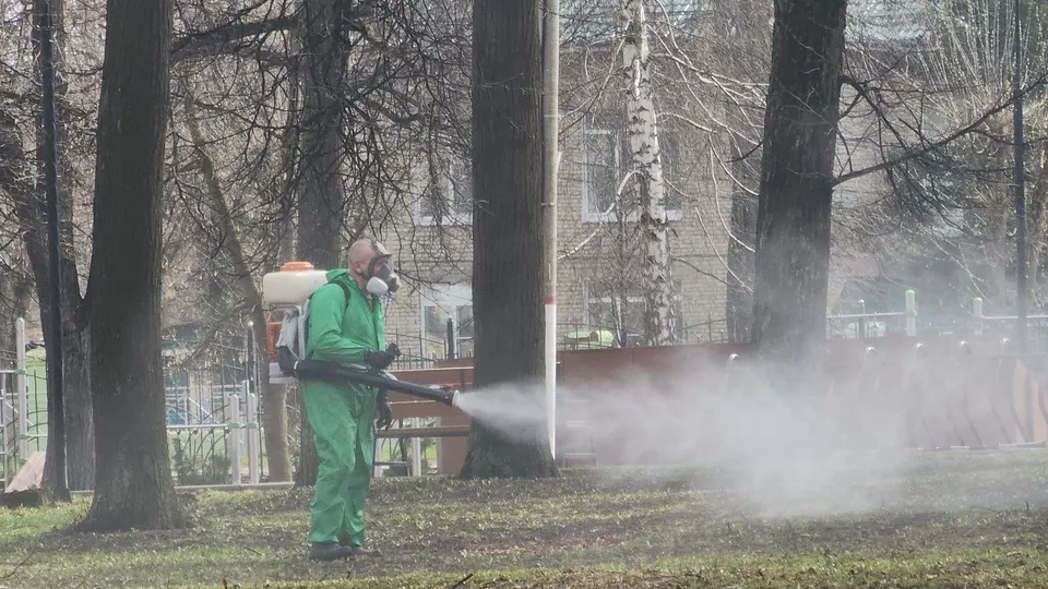 Фото: Медиаархив Подмосковья