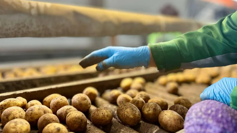 Фото: Министерство сельского хозяйства и продовольствия МО