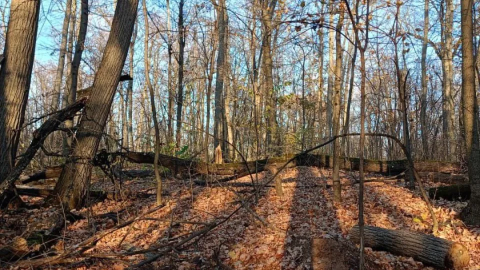 Фото: REGIONS/Антонина Гареева