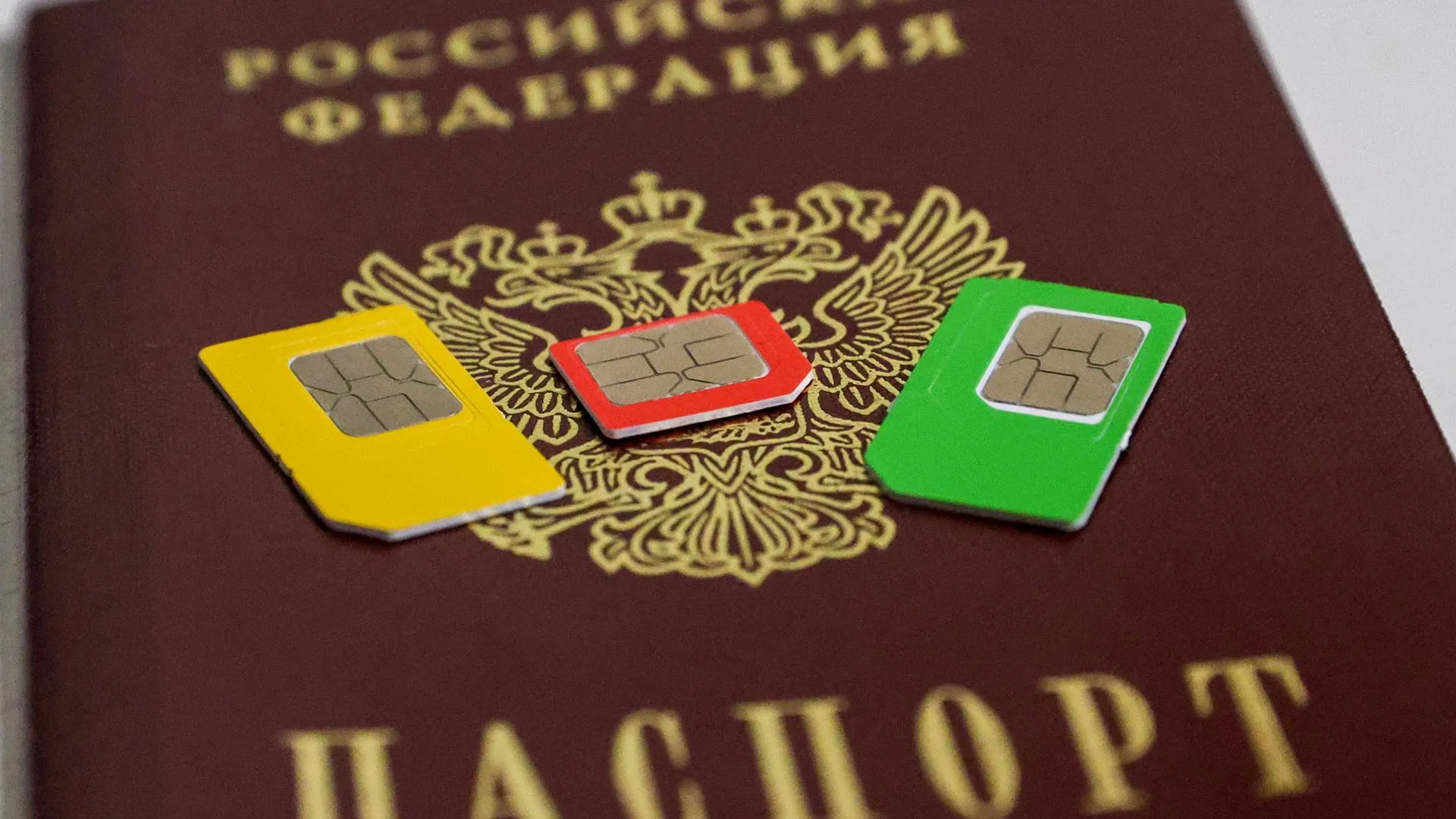 Shatokhina Natalia/news.ru