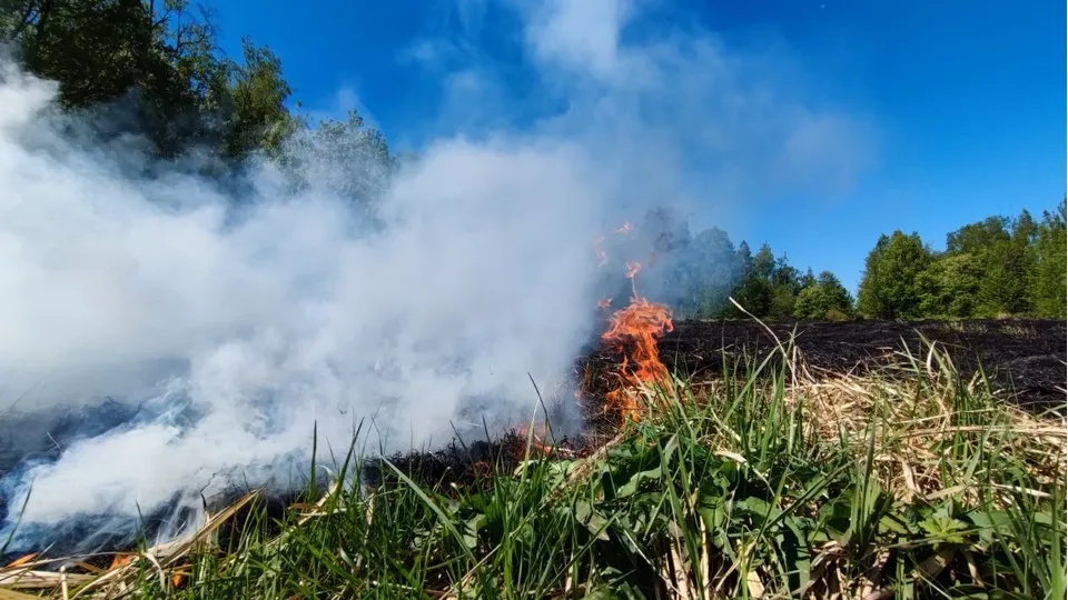 Фото: Екатерина Белякова