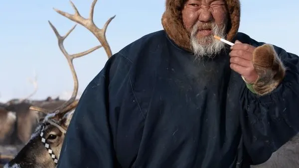 Финская газета боится, что коренное население Ямала исчезнет