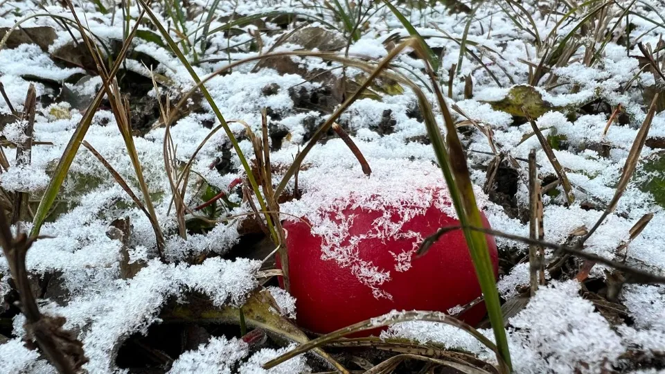 Фото: REGIONS/Елена Фурман