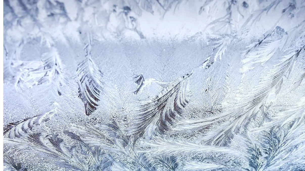 Фото: Соцсети