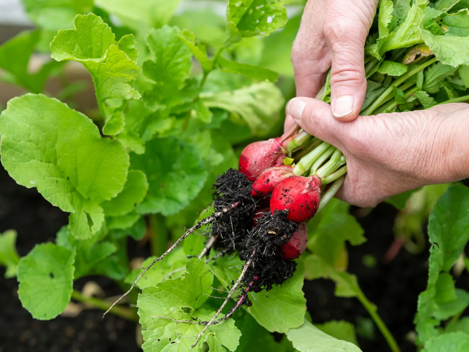 Фото: freepik.com