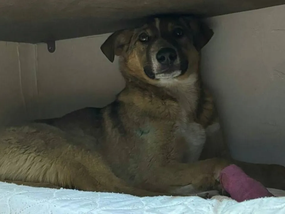 Фото: свидетельница происшествия&nbsp;