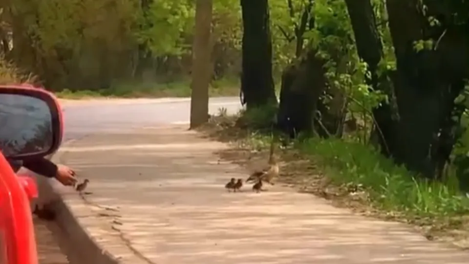 Фото: vk.com/Вперед/Наталья Майорова
