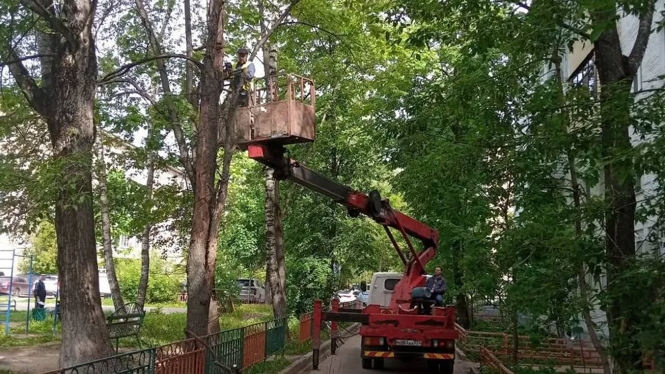 Фото: t.me/AnnaKrotova_Lobnya