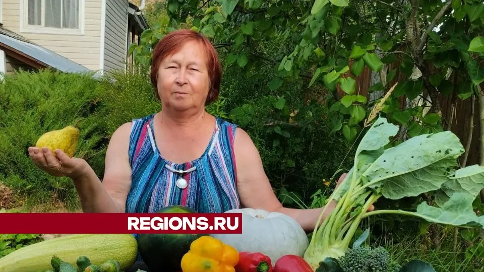 Фото: REGIONS/Наталья Широкая