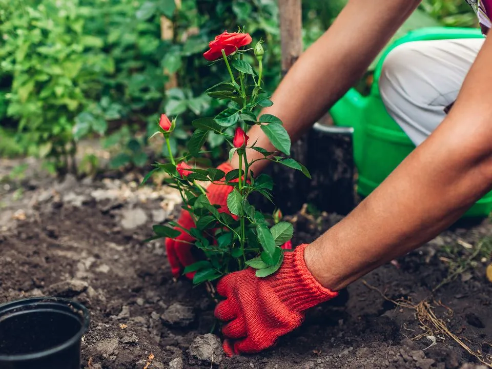 Фото: istockphoto.com