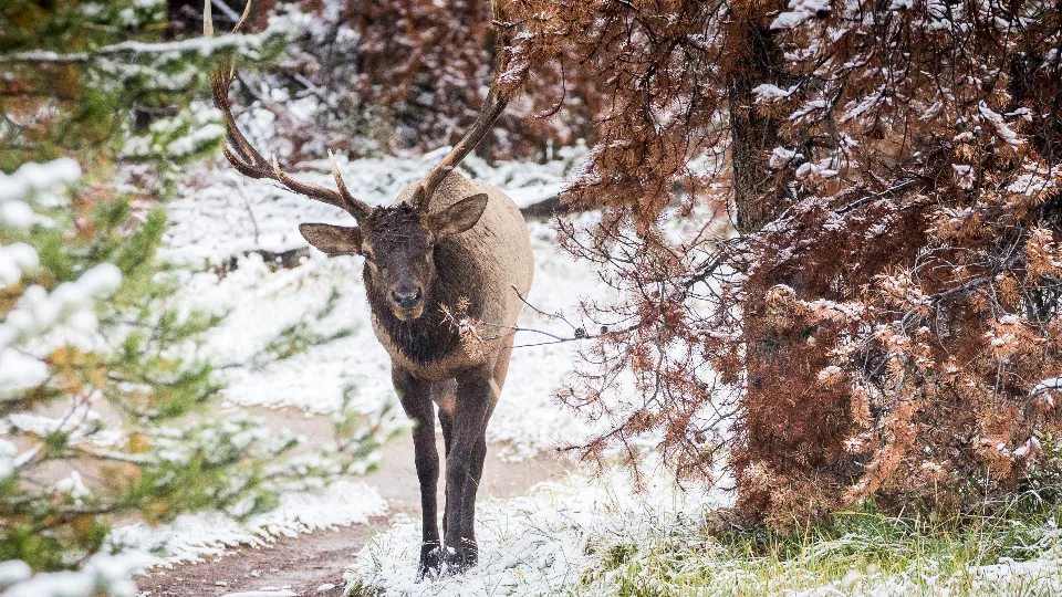 Фото: freepik.com