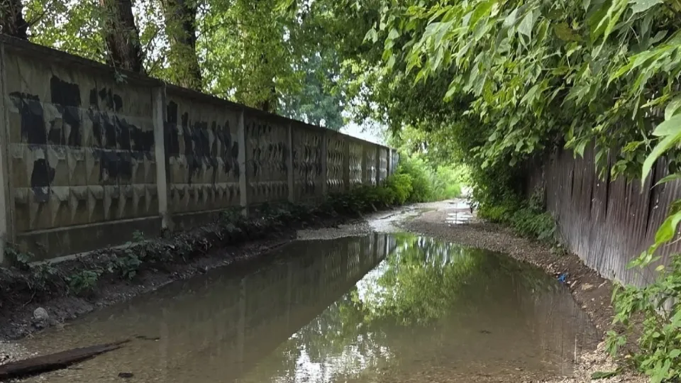 Фото: vk.com/Подслушано Павловский Посад