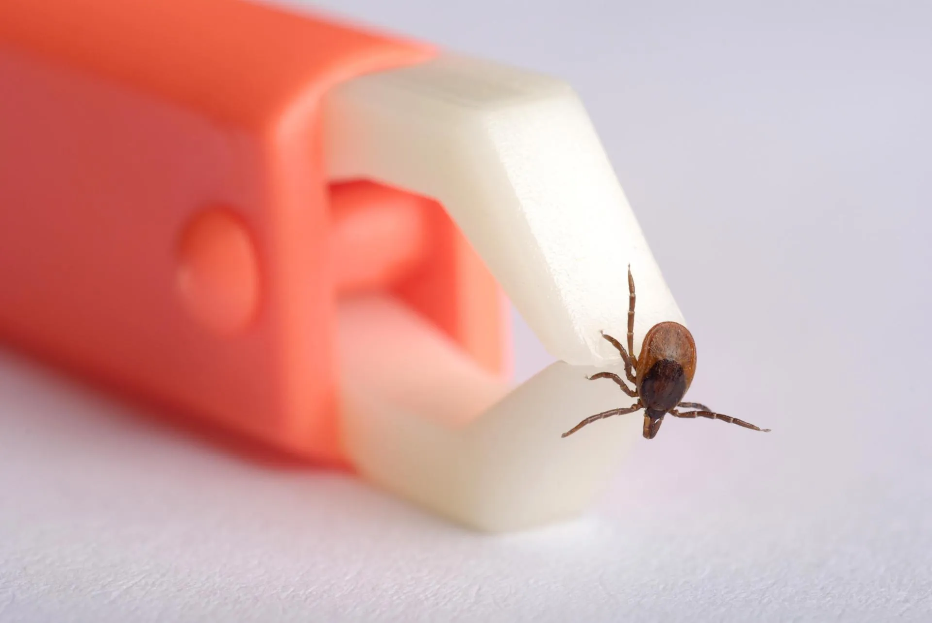 Ulrich Niehoff/http://imagebroker.com/#/search/