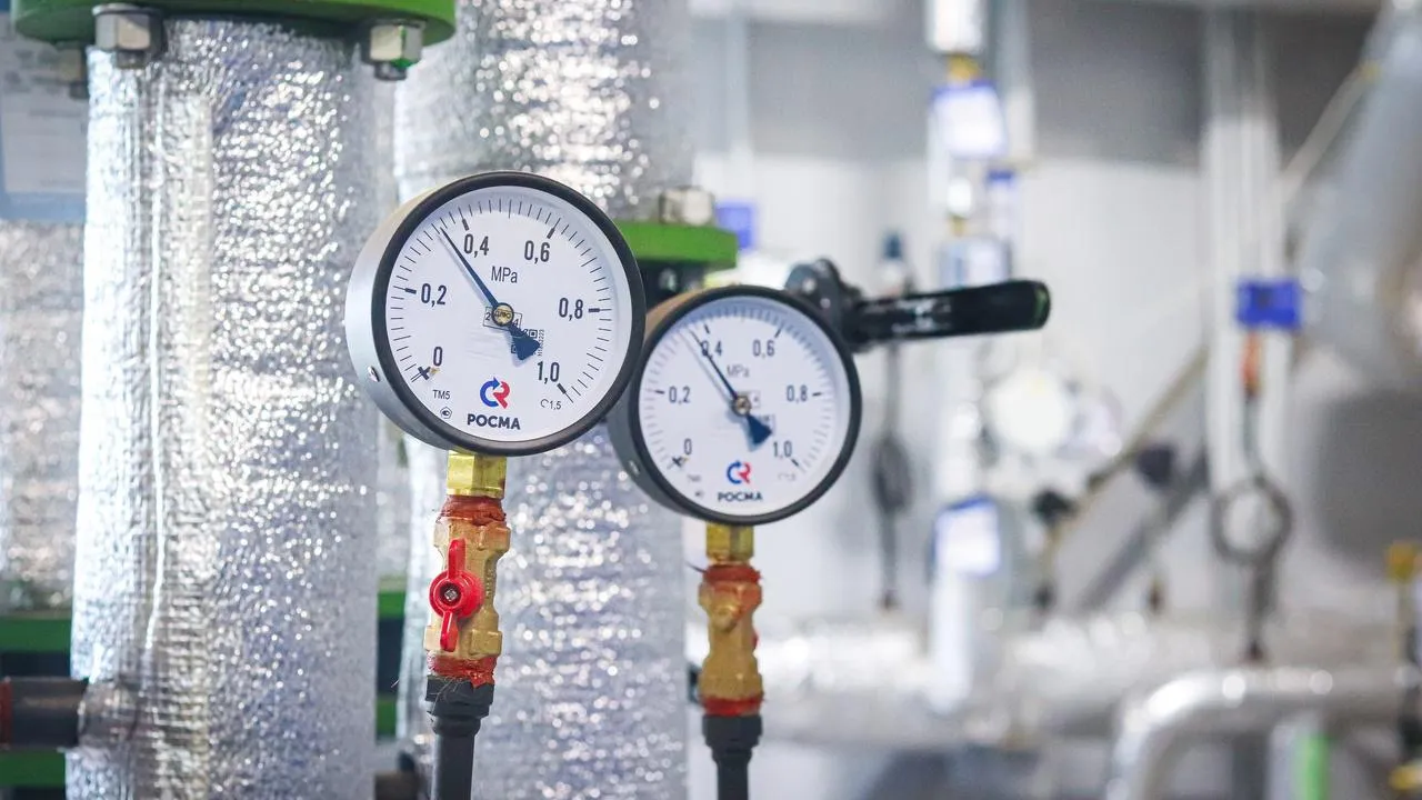 МедиаБанк Подмосковья/Данила Кирьянов