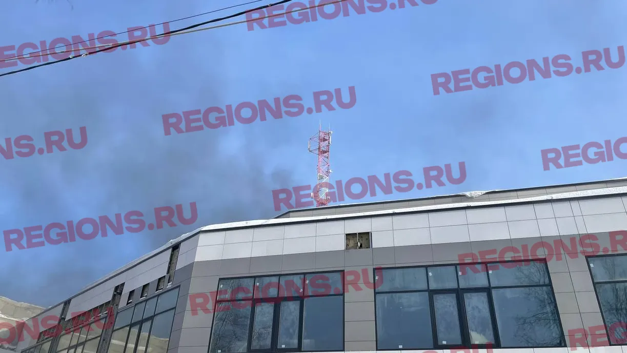 Фото: Дарья Леонова