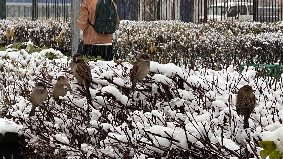 Фото: REGIONS/Елена Фурман