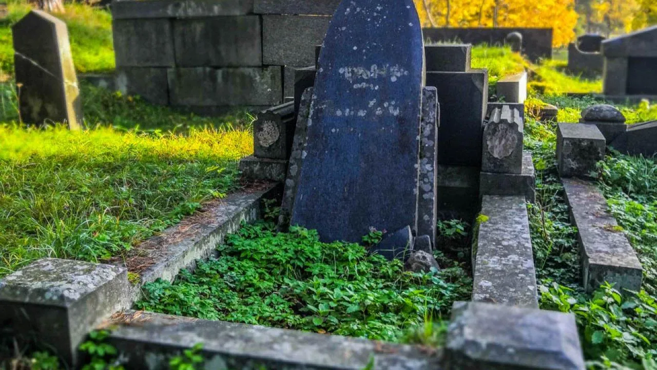 REGIONS/Роман Малышенко