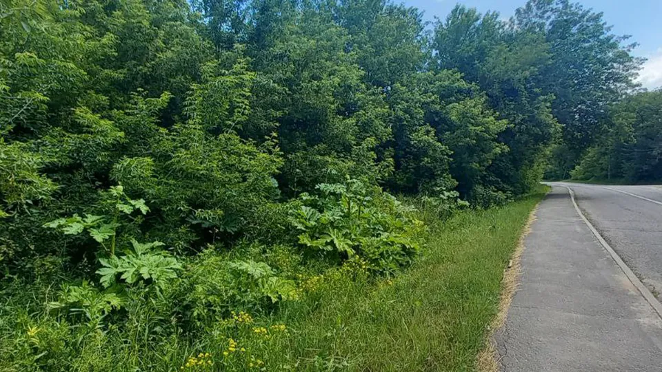 Фото: https://t.me/viktorpetruchenko_chat