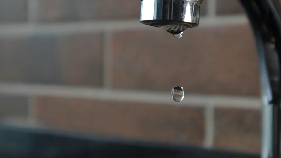 Фото: unsplash.com