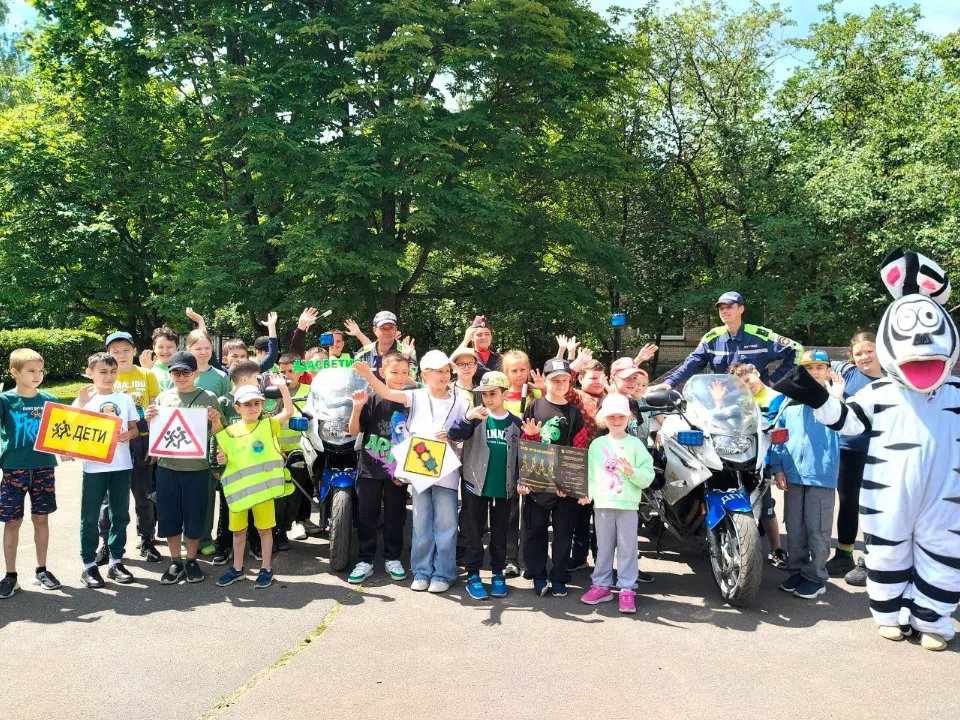 Фото: Госавтоинспекция УМВД России по г. о. Домодедово