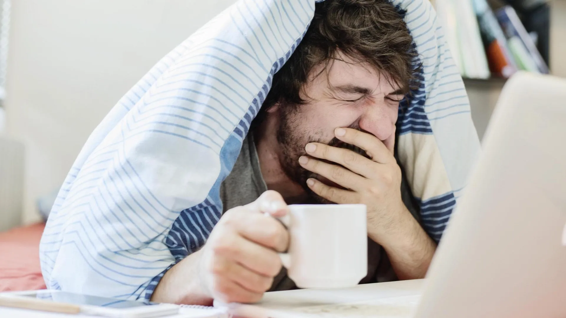 Jan Tepass/imageBROKER.com