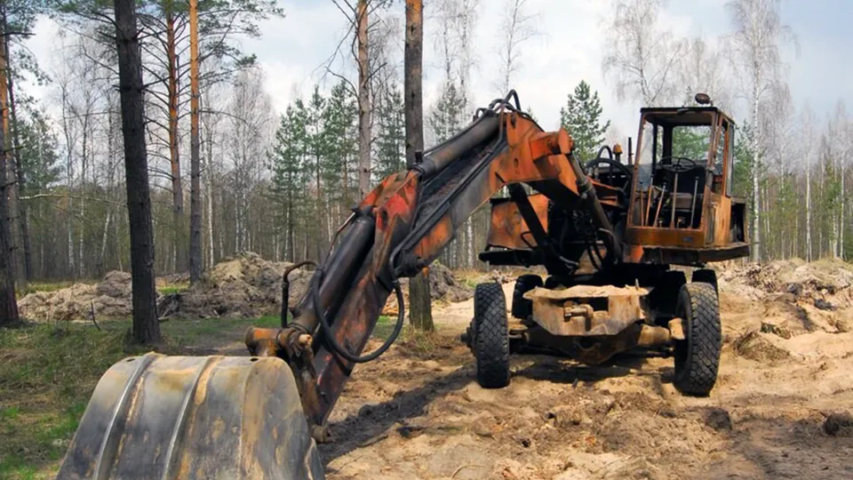 Фото: freepik.com