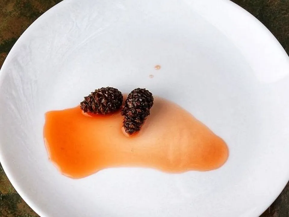 Фото: Василий Потапов&nbsp;