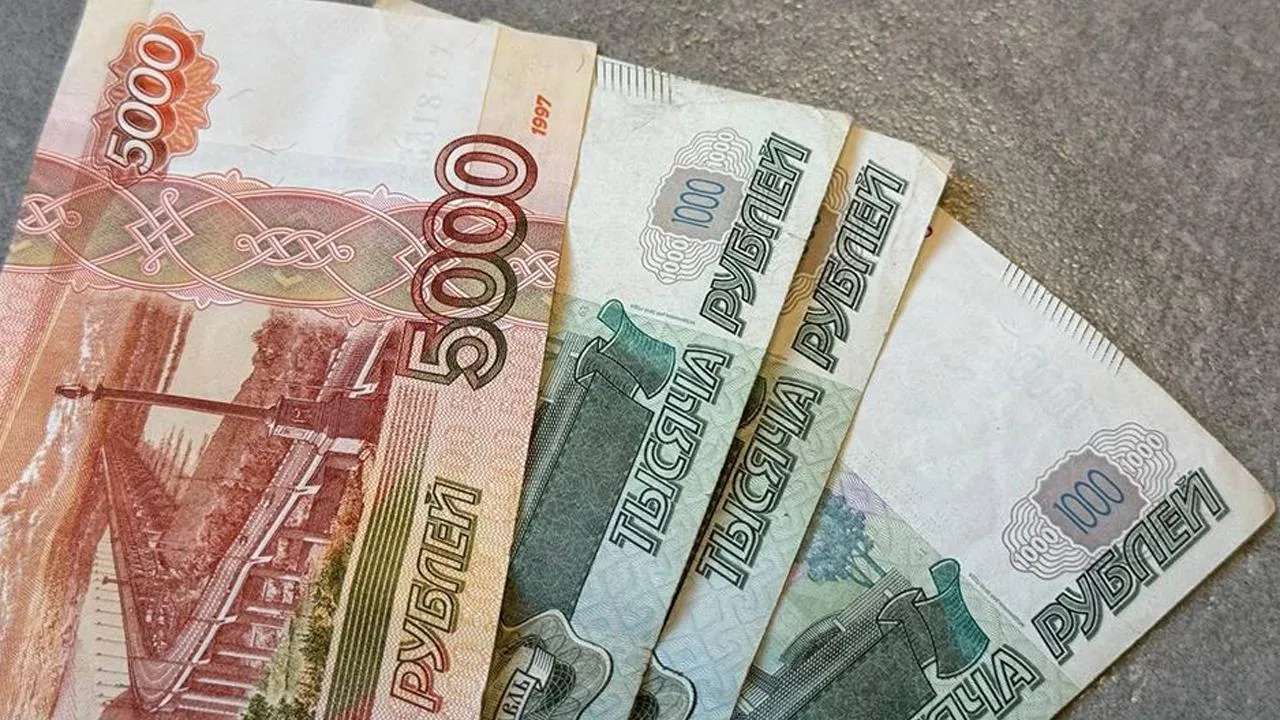 Студентку ВШЭ наказали штрафом за плевок в плакат о службе по контракту