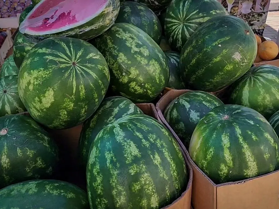 Фото: Ольга Антонова