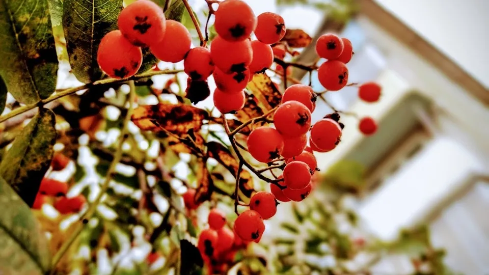 Фото: REGIONS/Алексей Селиверстов