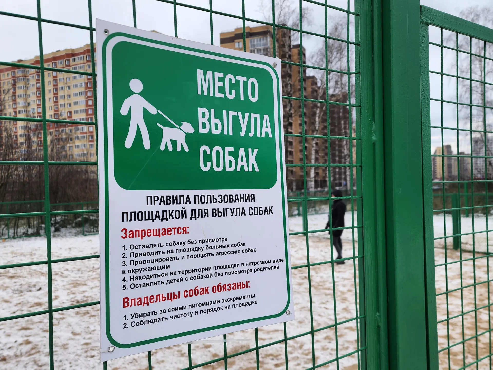 Фото: Валерия Тингаева