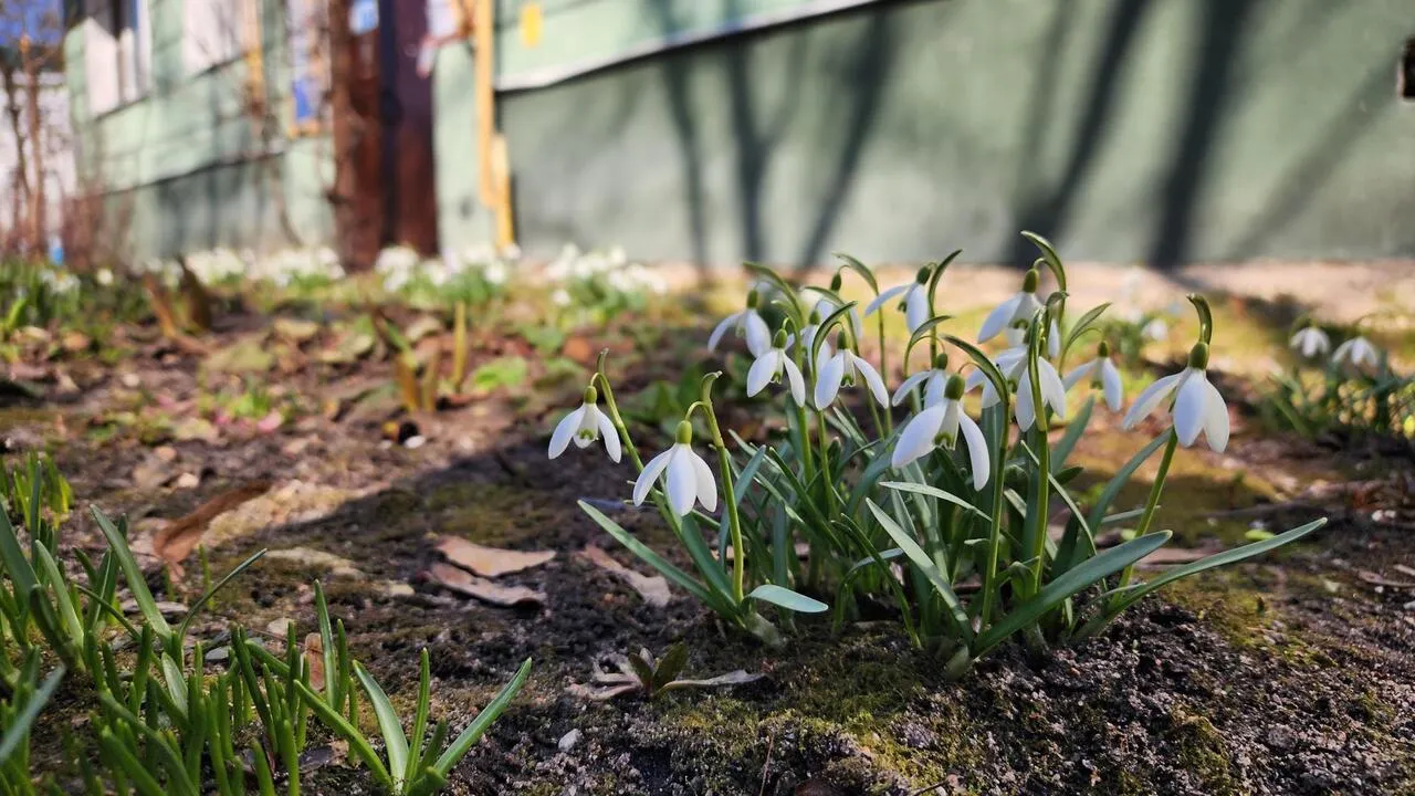 REGIONS/Валерия Тингаева