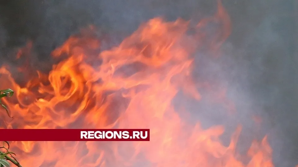 Фото: REGIONS/Александр Дрожжин