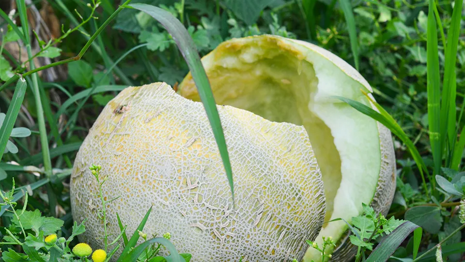 Фото: istockphoto.com