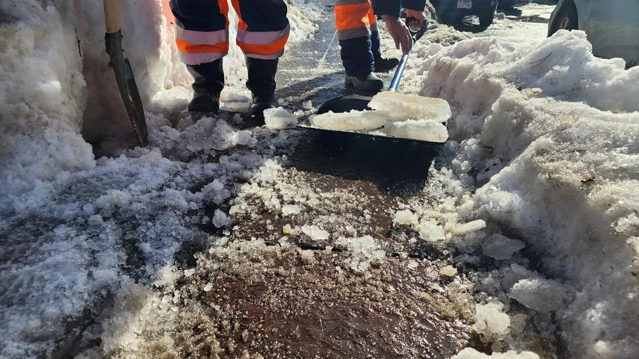 REGIONS/Анна Мороз