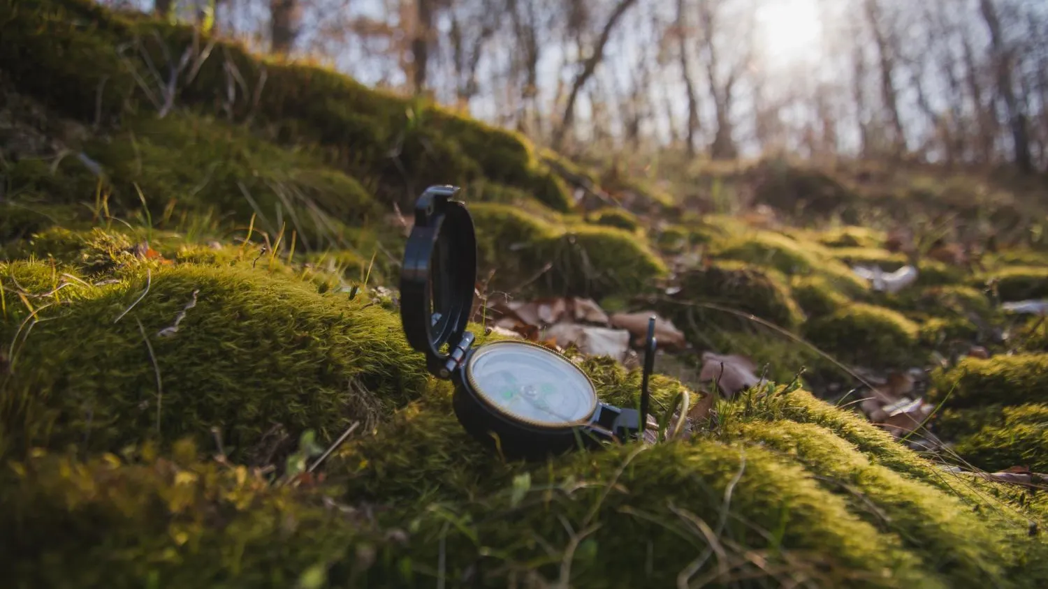 медиасток.рф