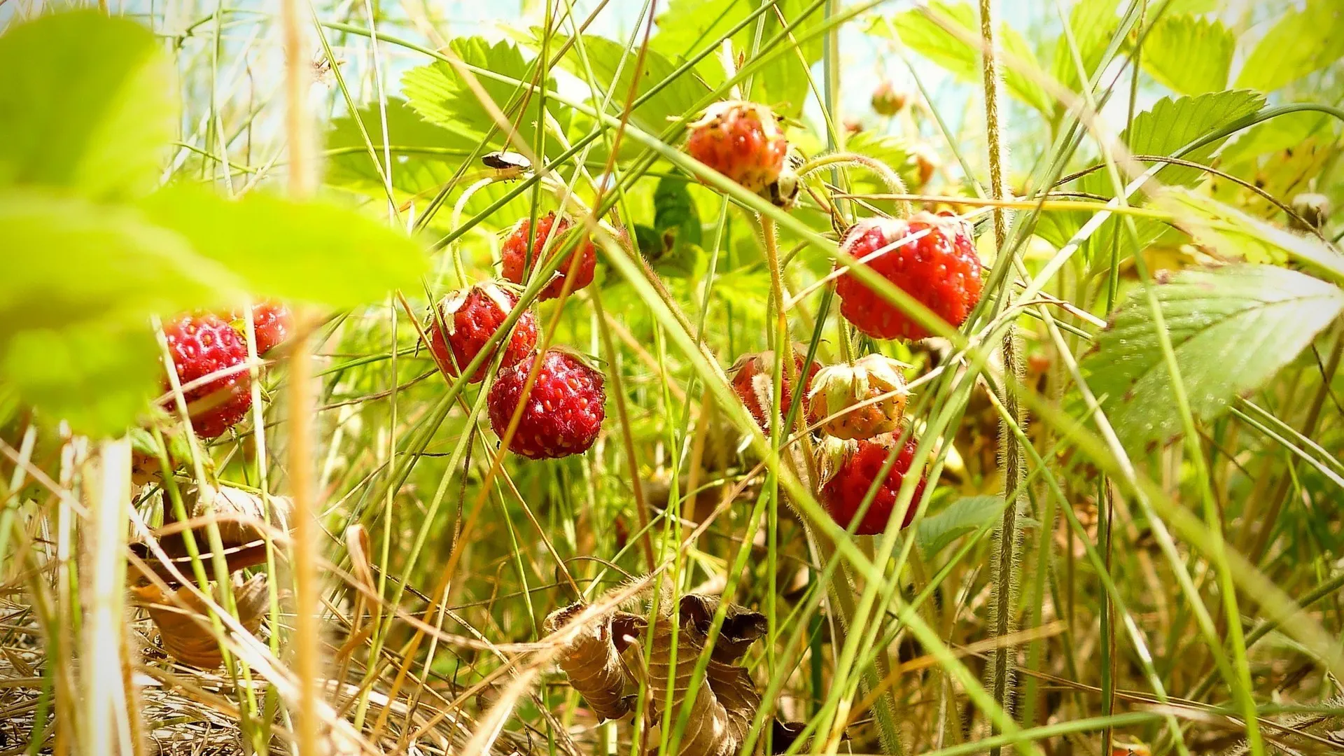 Фото: freepik.com