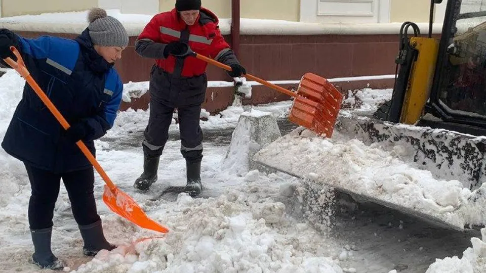 Фото: Медиабанк Подмосковья/Екатерина Елисеева