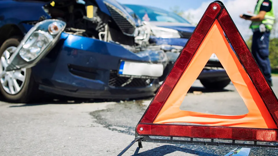 Фото: freepik.com | aleksandarlittlewolf